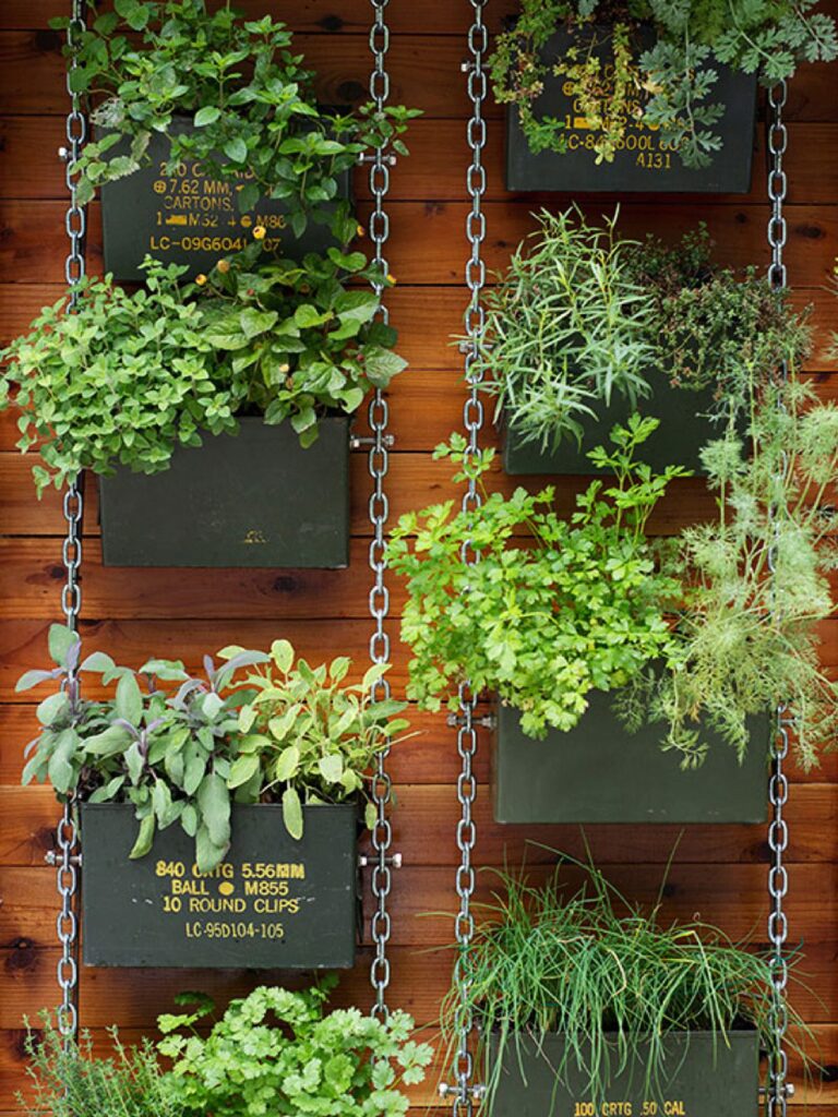 10 Essential Tips For Successful Vertical Gardening
