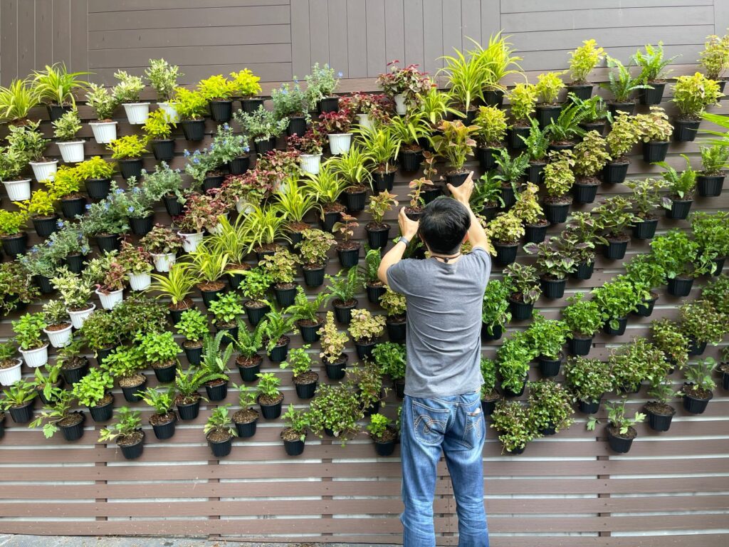 Achieve Stunning Vertical Gardens: Step-by-Step Instructions