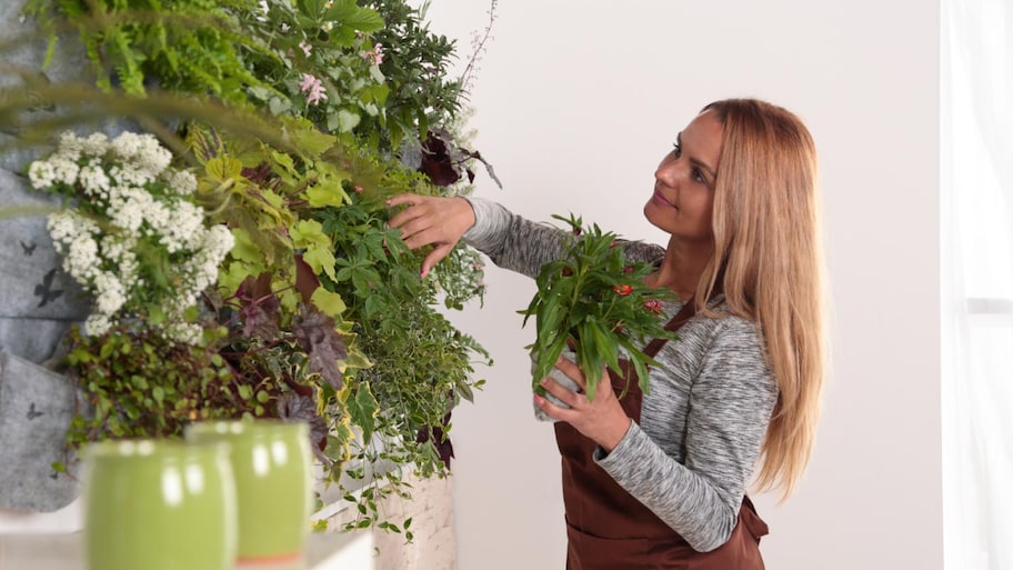 Achieve Stunning Vertical Gardens: Step-by-Step Instructions