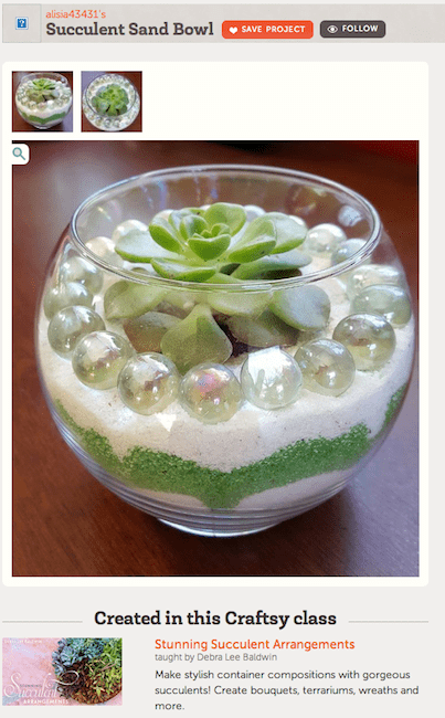 Creating a Stunning Succulent Composition