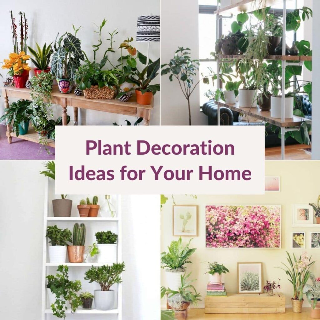 Creative Indoor Plant Decoration Ideas