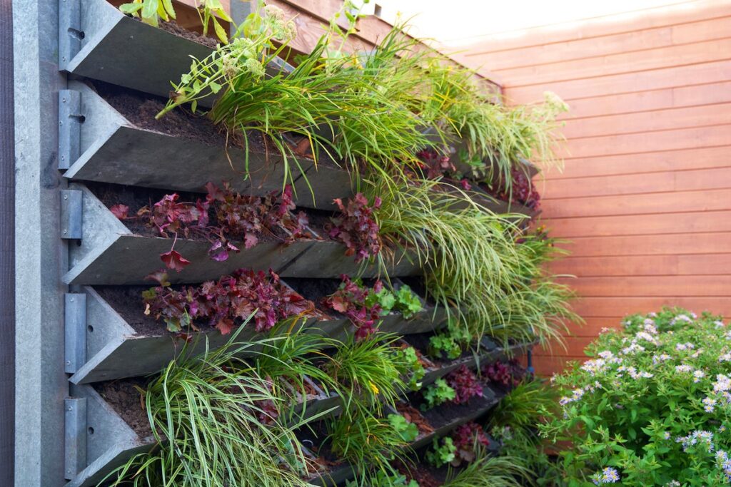 Creative Plant Choices For Vertical Gardens