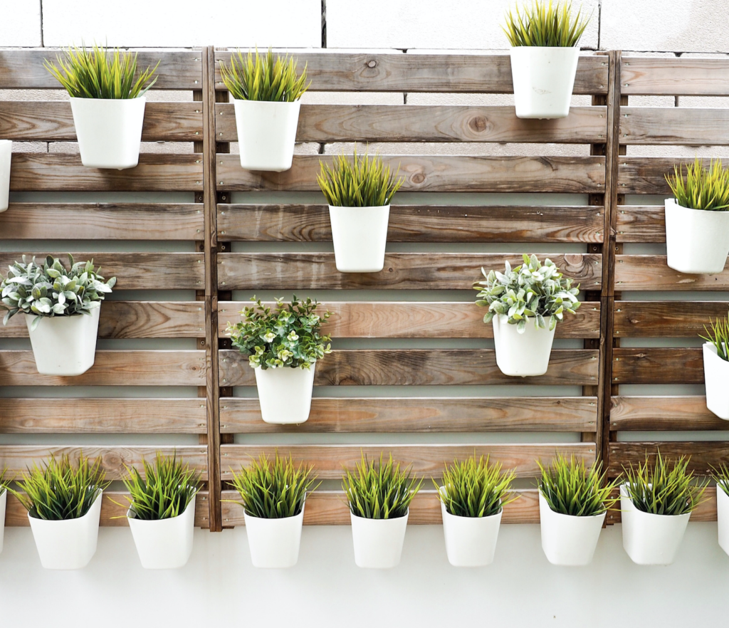 Creative Plant Choices For Vertical Gardens