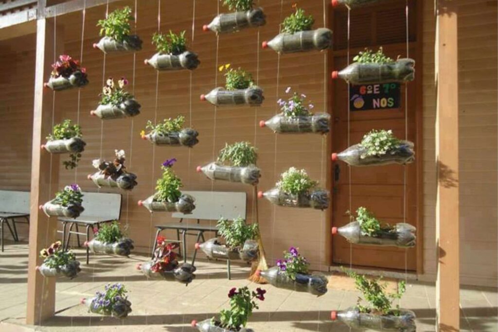 Creative Plant Choices For Vertical Gardens