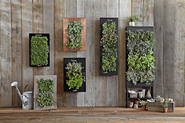Designing A Vertical Garden: Inspiration And Techniques