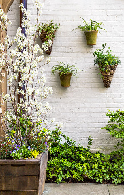 How To Create A Beautiful Vertical Garden