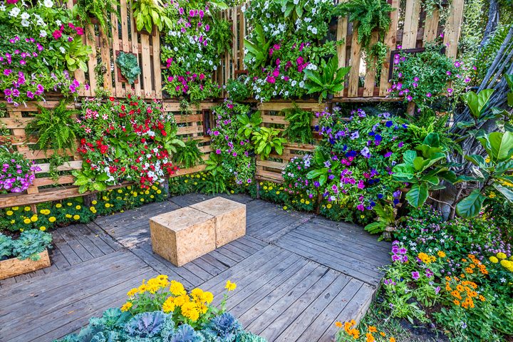 How To Create A Beautiful Vertical Garden