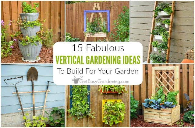 How To Create A Beautiful Vertical Garden