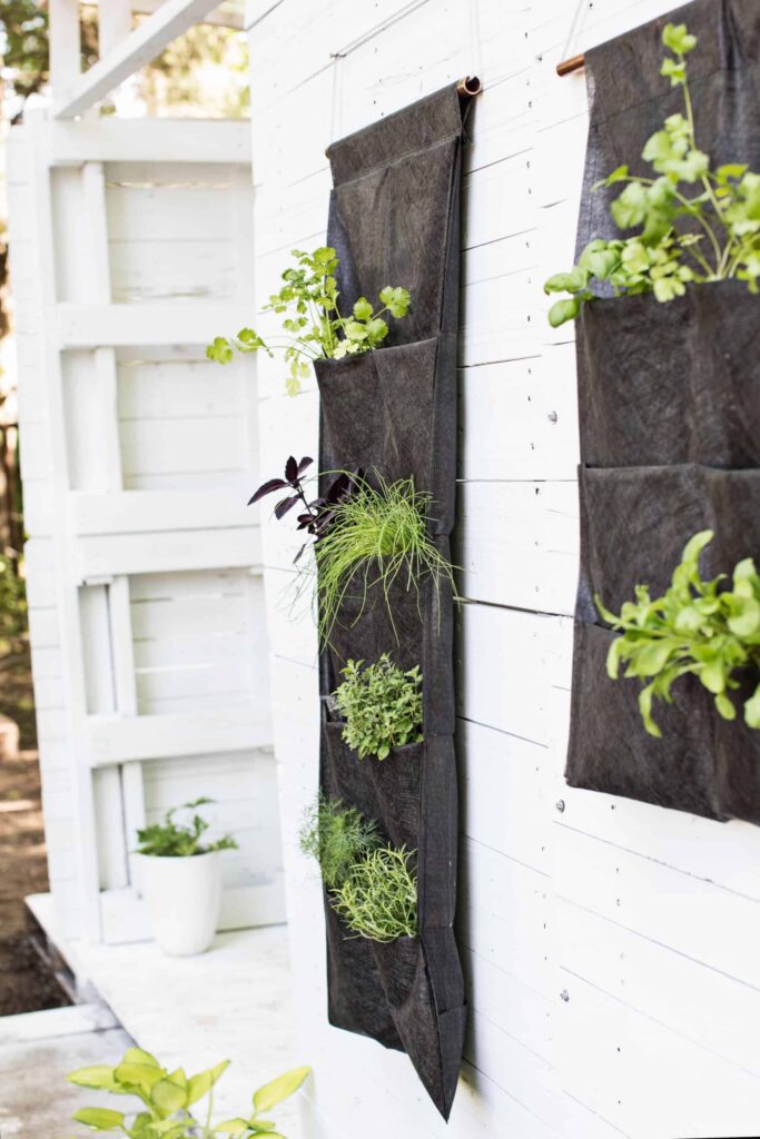 How To Create A Beautiful Vertical Garden