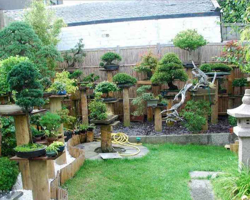 How To Create A Vertical Bonsai Garden