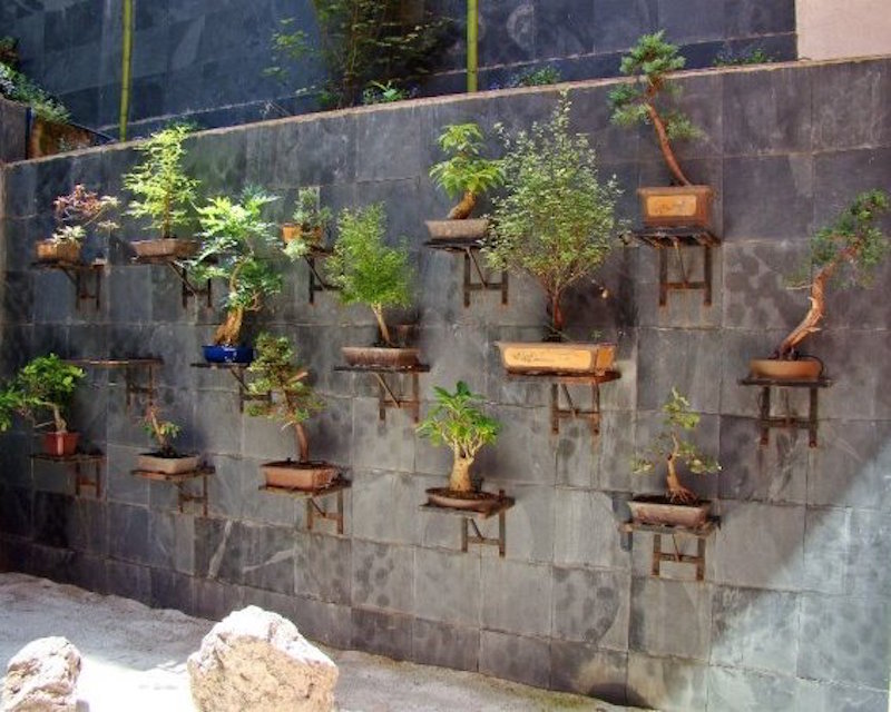 How To Create A Vertical Bonsai Garden