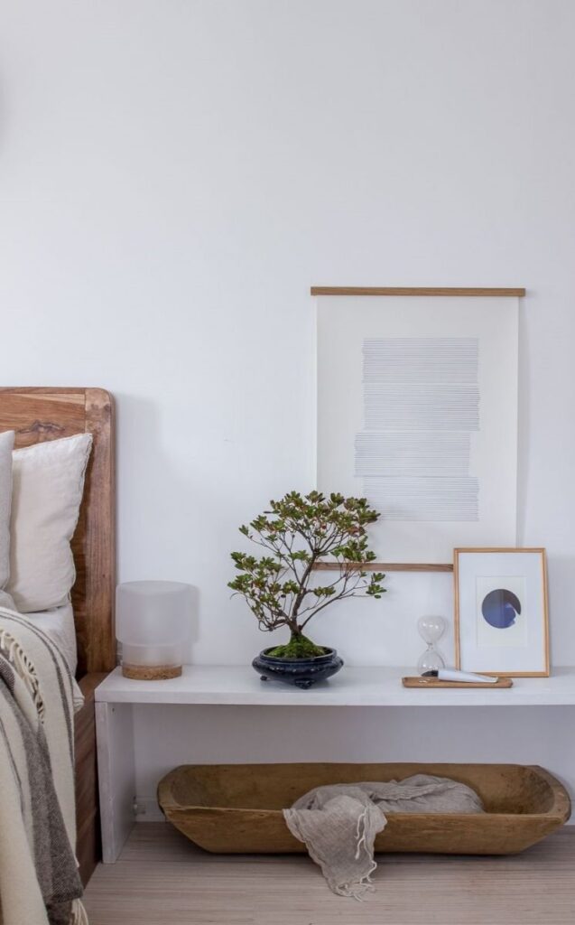 How To Use Bonsai Trees To Create A Zen-Inspired Home Decor