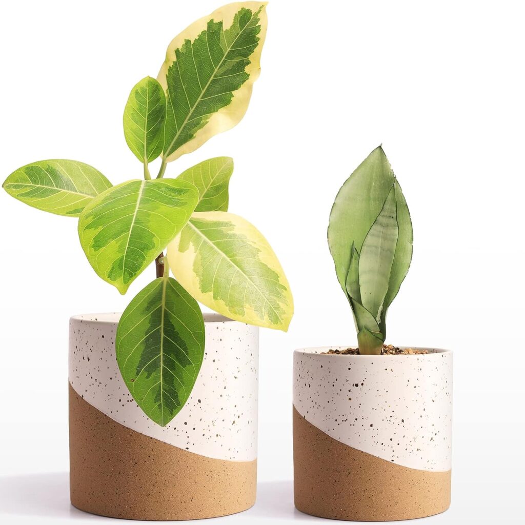 JOFAMY Ceramic Pots for Indoor Plants, 2 Set Flower Pots 5.4/4.3 Inch with Drainage, Double Color Glazed Speckled White  Terracotta Bottom Ceramic Planter Idea for Plant Lovers