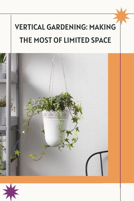 Vertical Gardening: Making The Most Of Limited Spaces