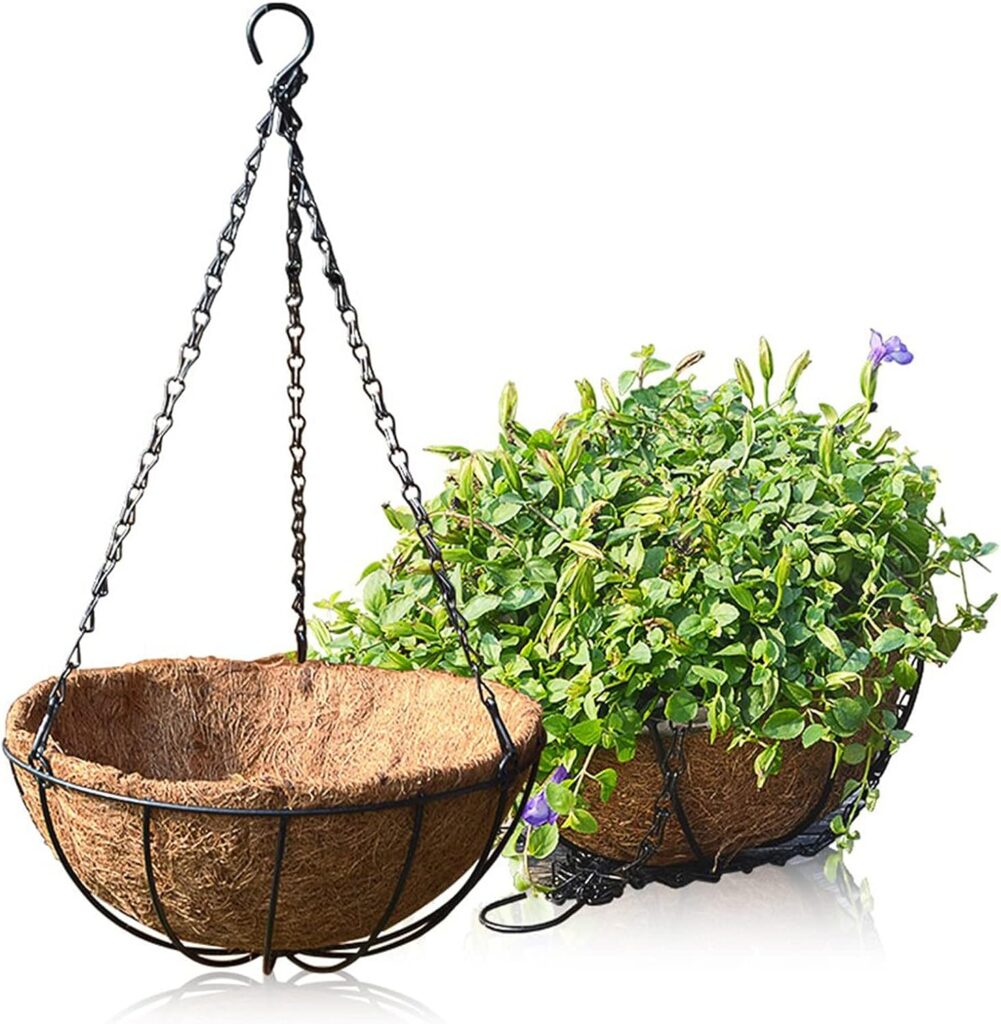 Orgrimmar 2 Pack 8 Metal Hanging Planter Basket with Coco Coir Liner, Small Round Wire Plant Holder with Hanging Chain for Hanging Plant and Flower