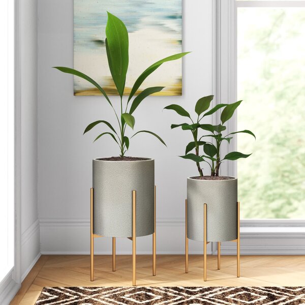 Stylish Decorative Pots for Indoor Plants