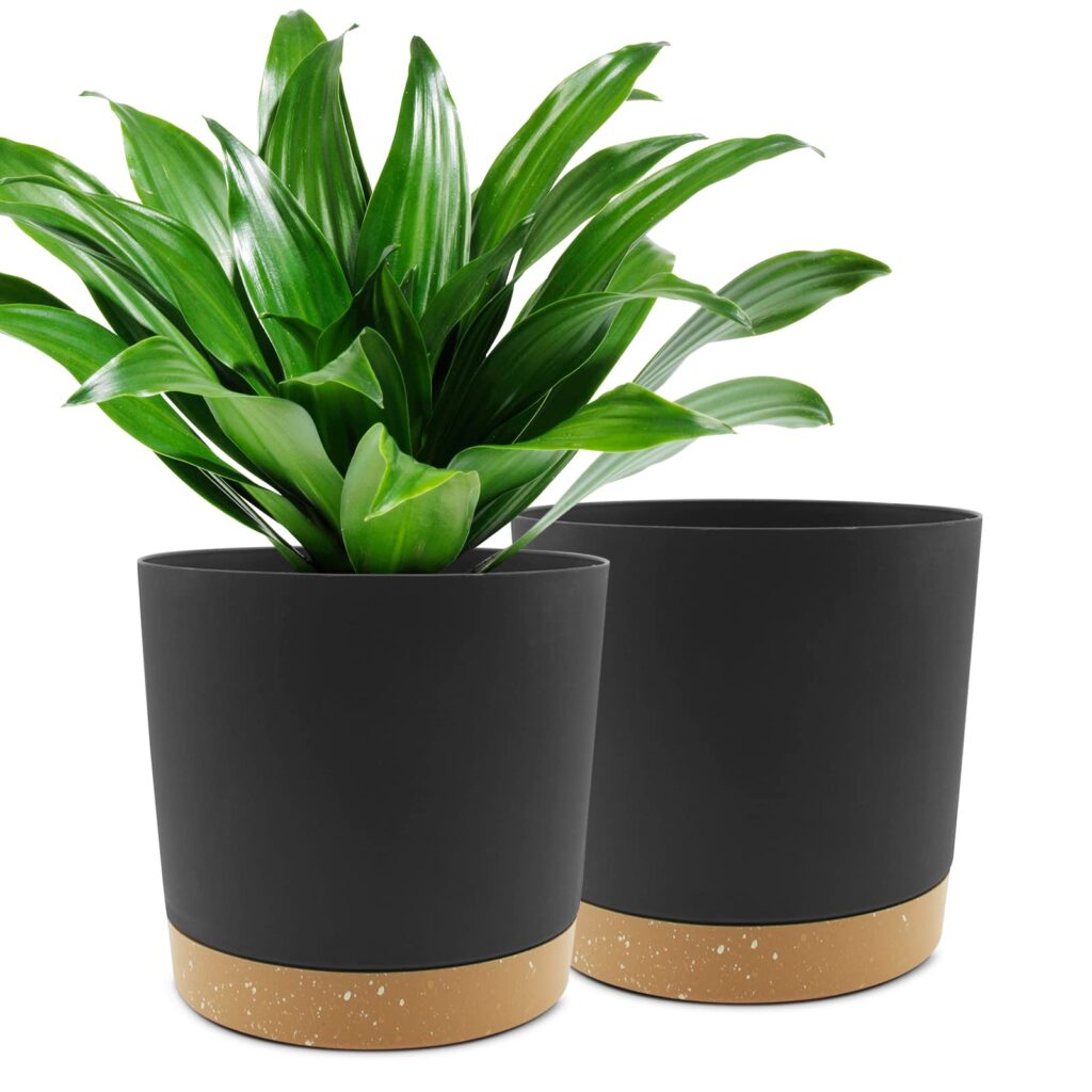 Stylish Decorative Pots for Indoor Plants