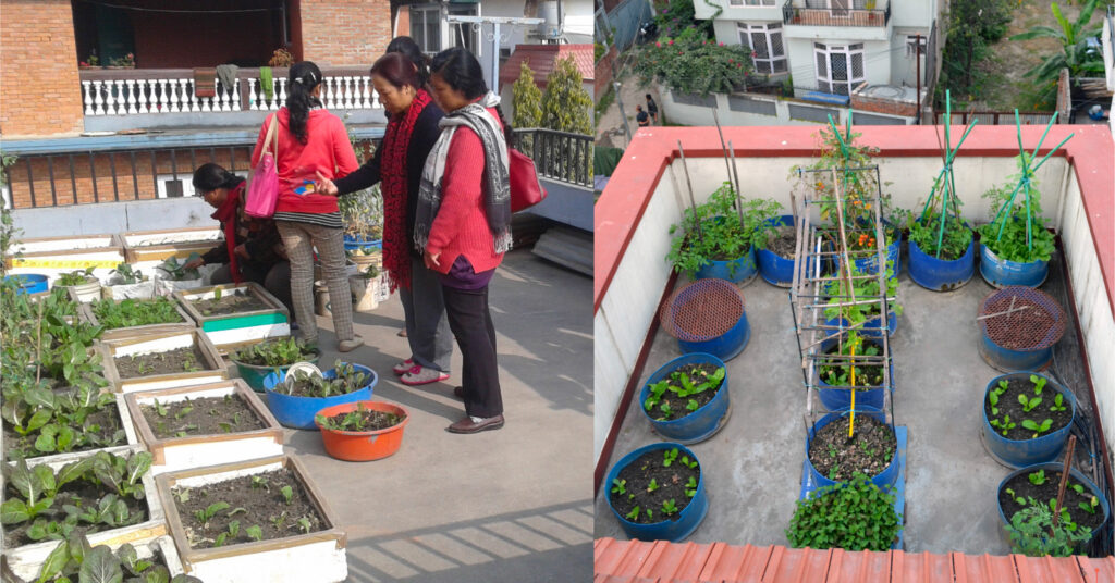 The Role of Urban Gardening in Mitigating Climate Change and Improving Air Quality