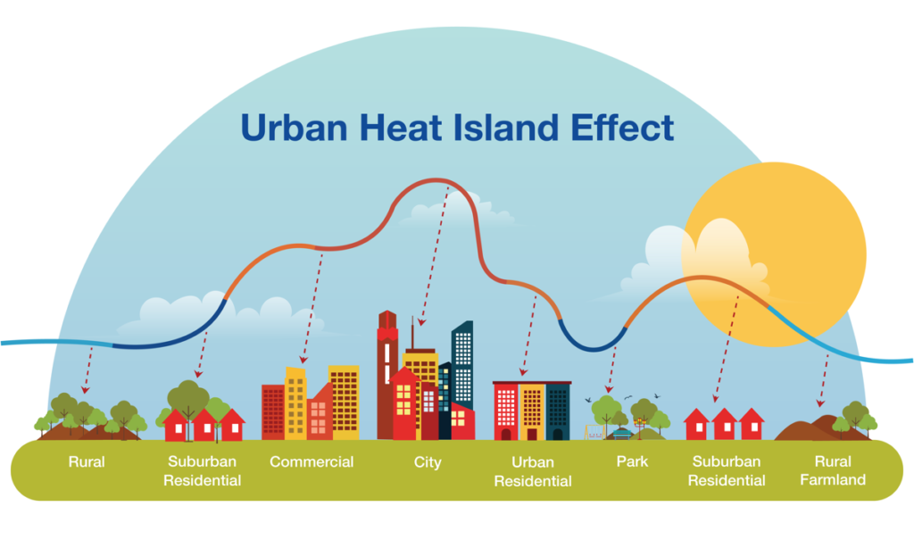 Urban Gardening: A Key Solution To Urban Heat Island Effect
