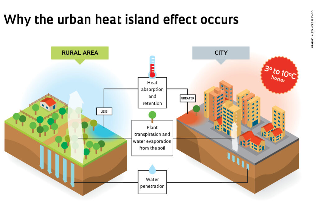 Urban Gardening: A Key Solution To Urban Heat Island Effect