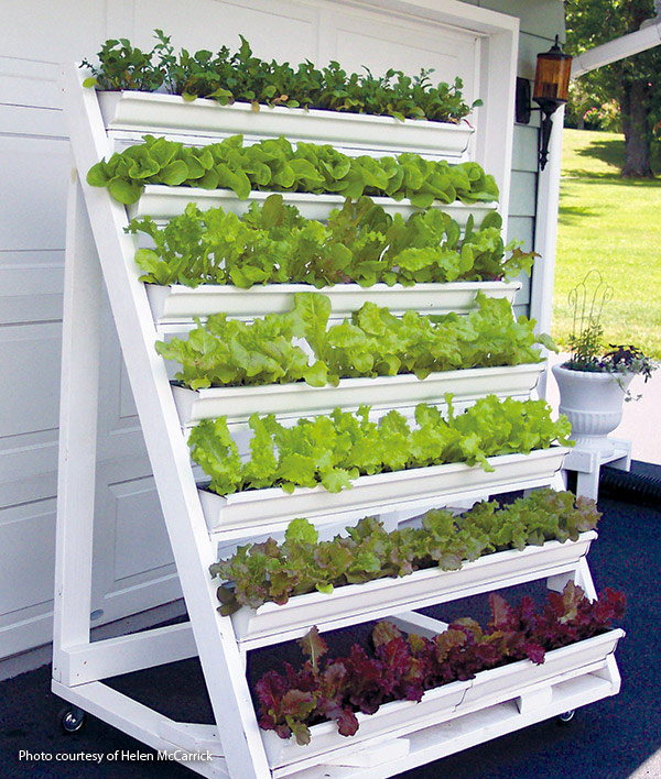 Vertical Gardening: Extending The Growing Season