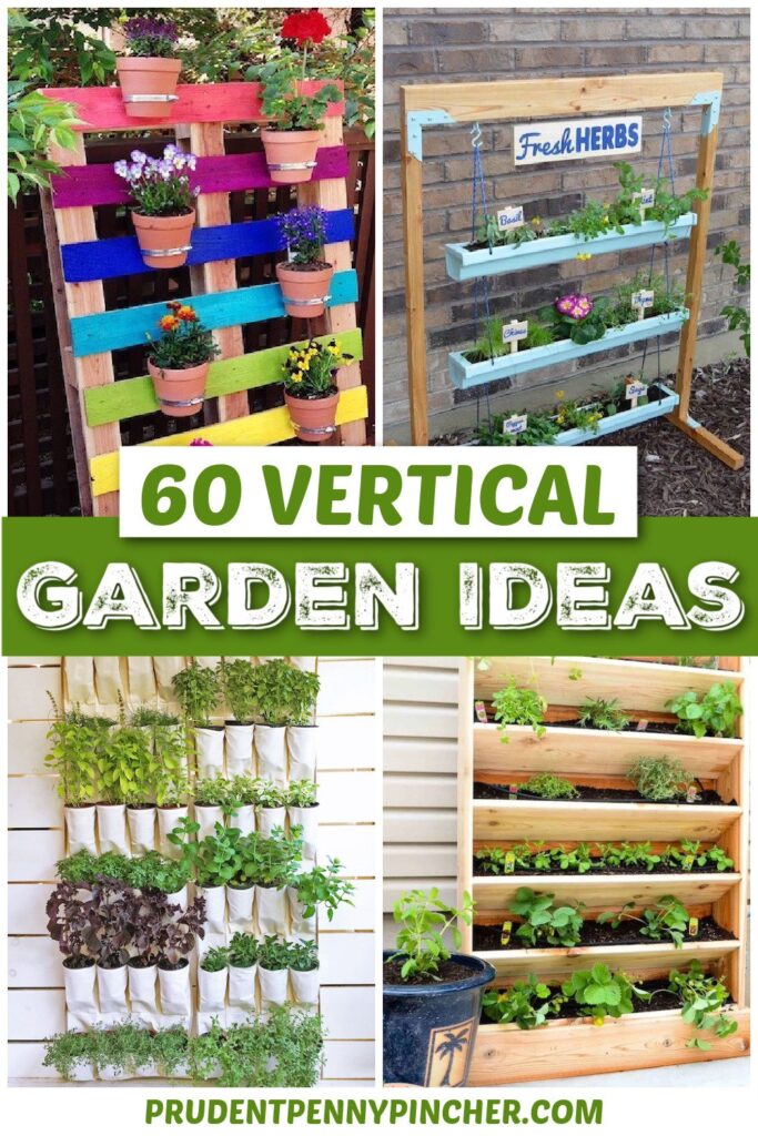 Vertical Gardening: Ideas For Small Spaces