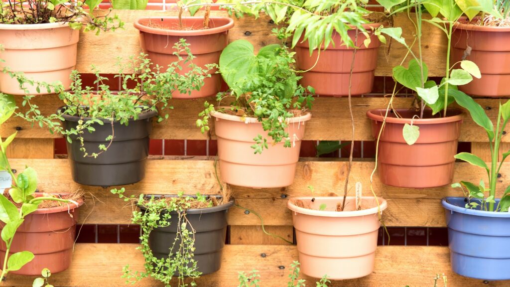 Vertical Gardening: Maximizing Space And Yield