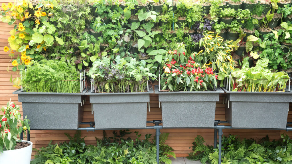 Vertical Gardening: Maximizing Space And Yield