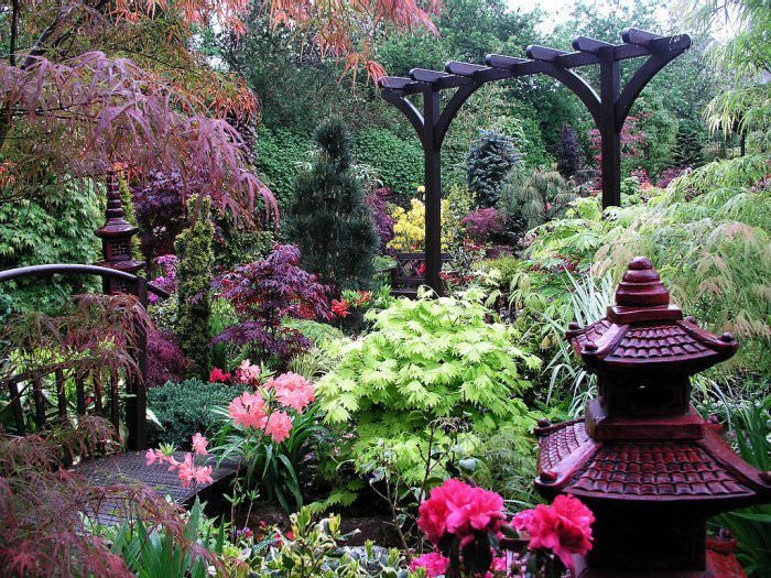 Vertical Gardens And Feng Shui: Harmonizing Your Space