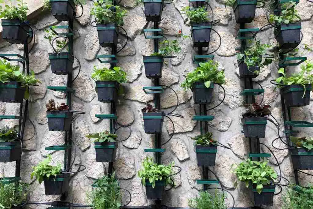 Vertical Herb Garden: Fresh Herbs At Your Fingertips