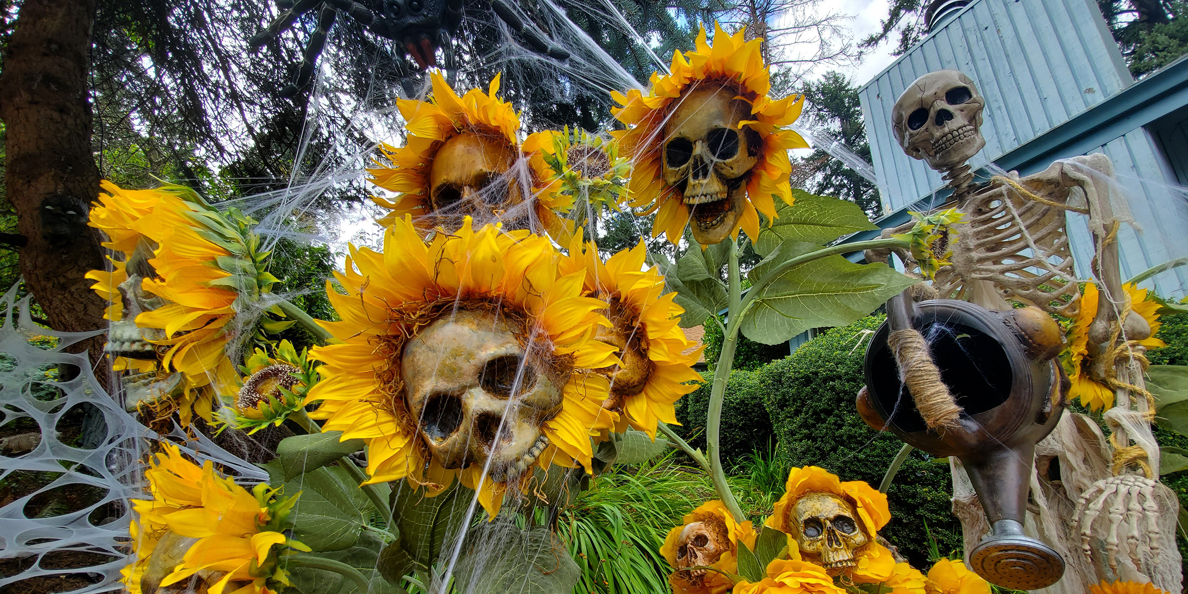Some Of The Most Creepy Flower For Halloween