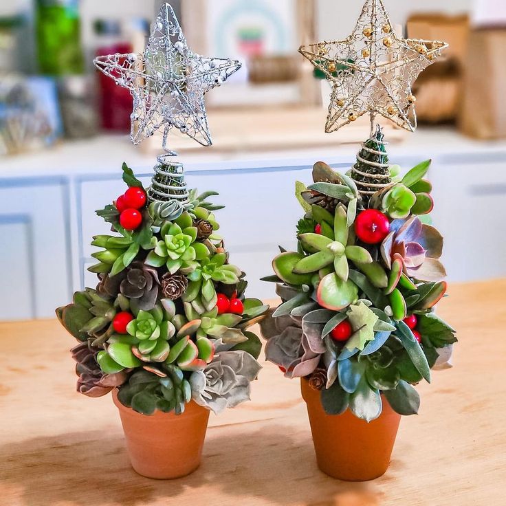 Succulent Christmas Decorations Ideas