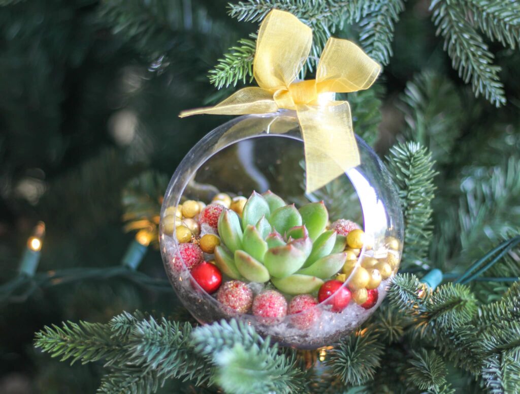 Succulent Christmas Decorations Ideas