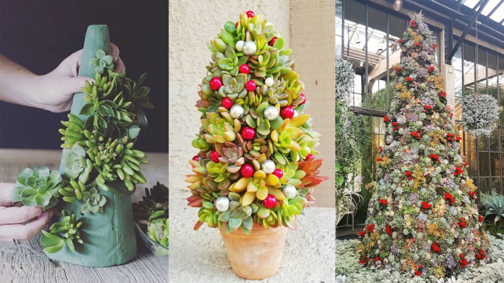 Succulent Christmas Decorations Ideas