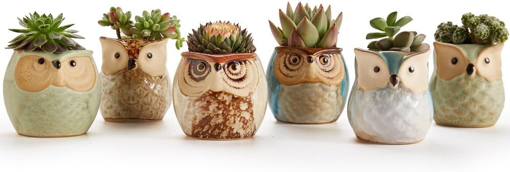 SUN-E SE Owl Pot Ceramic Flowing Glaze Base Serial Set Succulent Plant Pot Cactus Plant Pot Flower Pot Container Planter with Drainage Hole Home Office Desk Garden Gift Idea 6pcs 2.5 Inch