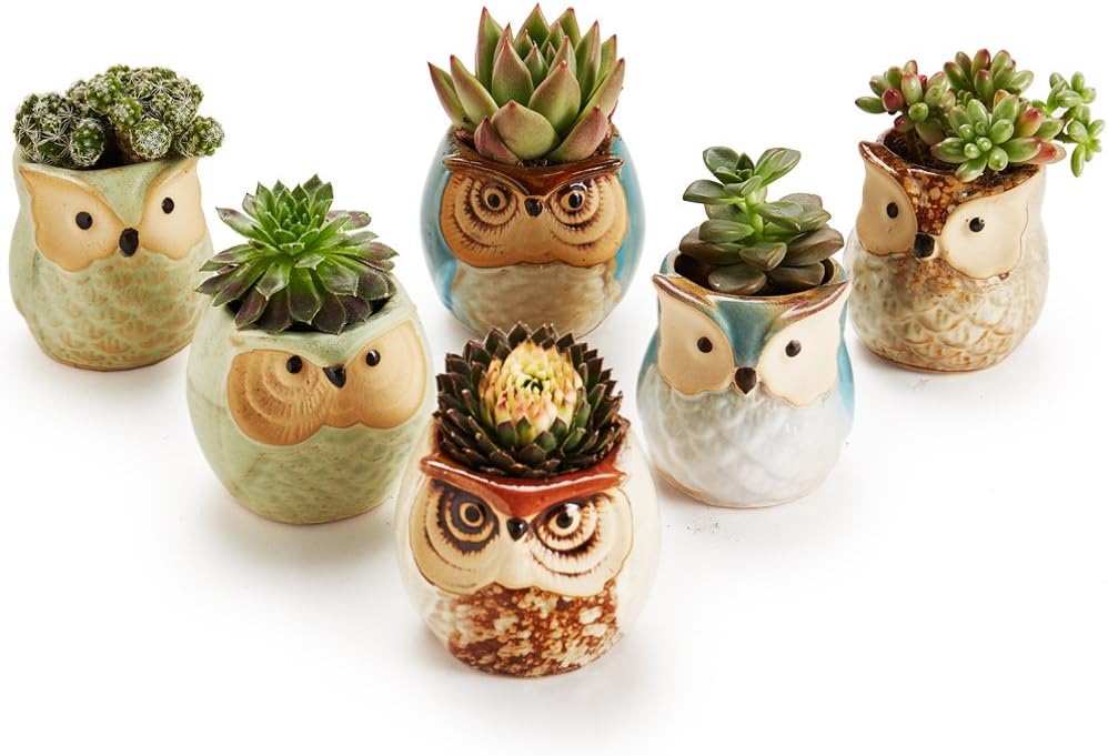 SUN-E SE Owl Pot Ceramic Flowing Glaze Base Serial Set Succulent Plant Pot Cactus Plant Pot Flower Pot Container Planter with Drainage Hole Home Office Desk Garden Gift Idea 6pcs 2.5 Inch