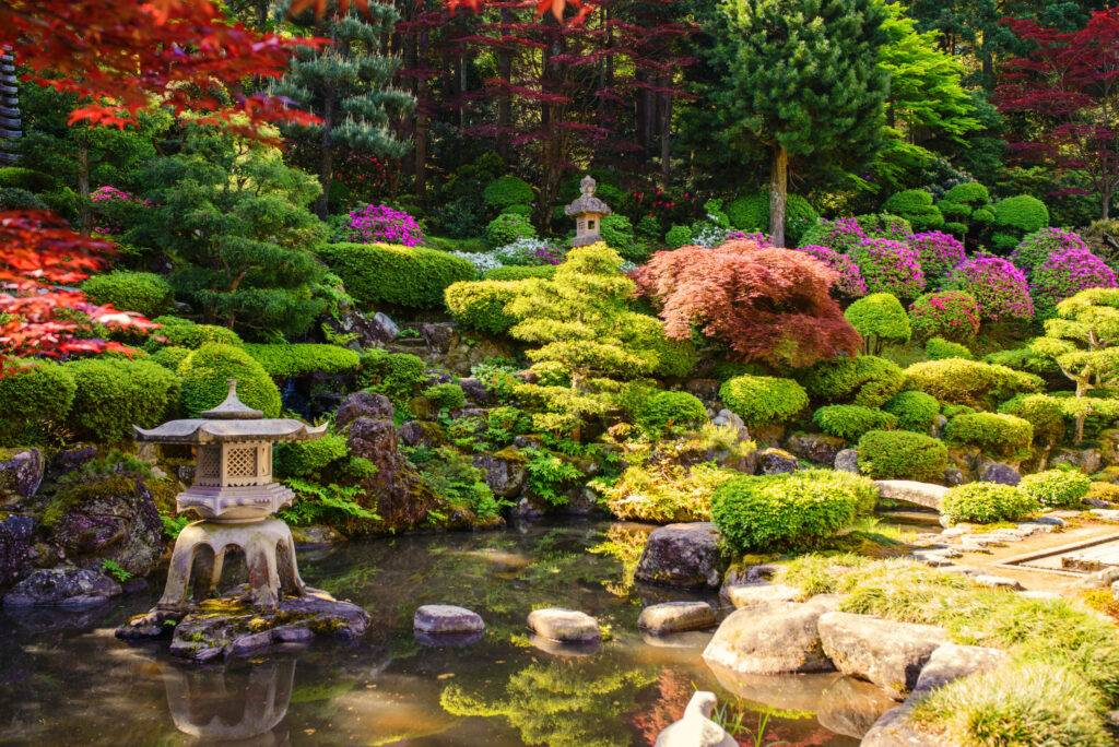 The Ultimate Guide To Japanese Gardens: History, Elements, And Design Principles