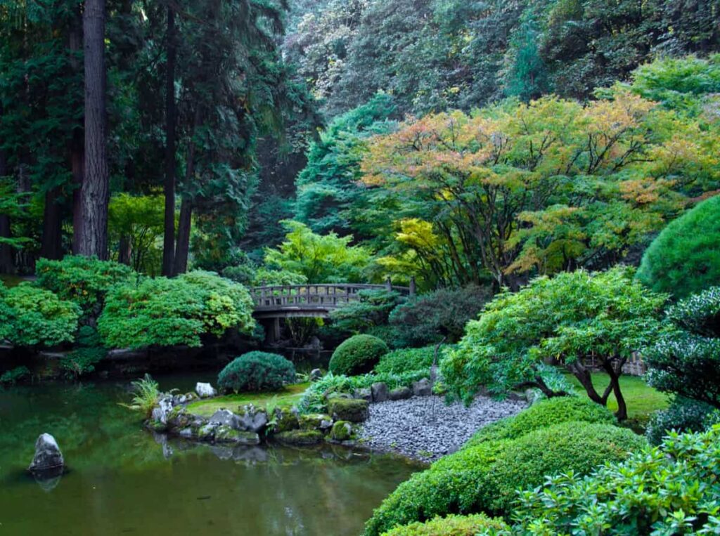 The Ultimate Guide To Japanese Gardens: History, Elements, And Design Principles