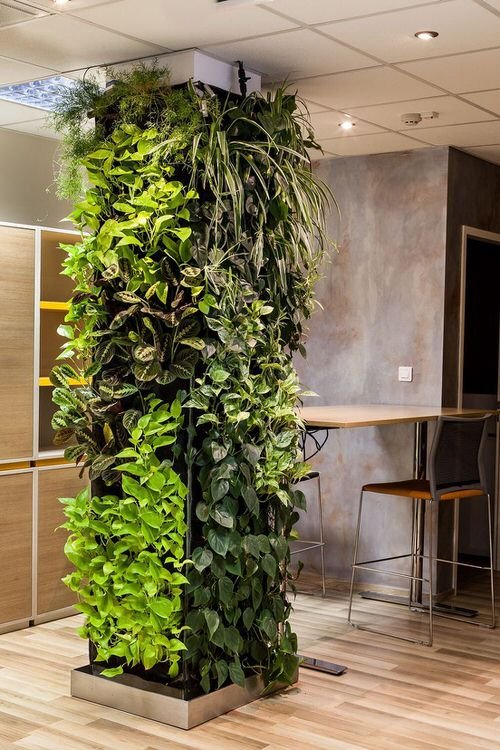 Vertical Gardening In Rental Spaces: Temporary Solutions