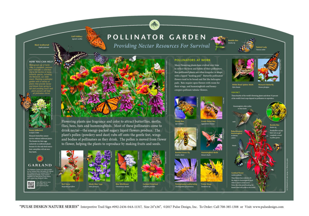 Vertical Gardens For Pollinator Conservation: Butterfly And Bee-Friendly