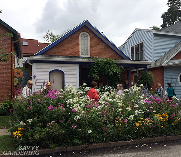 Vertical Gardens For Pollinator Conservation: Butterfly And Bee-Friendly